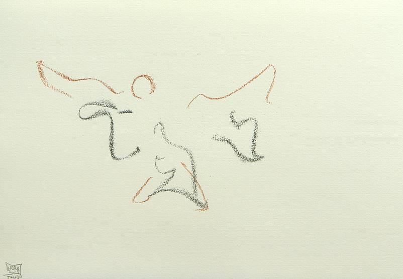 Thomas Werk - taube